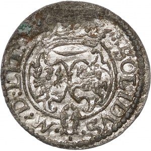 Sigismund III. Vasa, Shelrog 1623, Vilnius - Z-3 - seltener