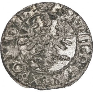 Sigismund III. Vasa, Shelrogue 1623, Vilnius - großer Vadvich