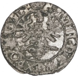 Zygmunt III Waza, Szeląg 1623, Wilno – duży Wadwicz