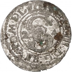 Sigismund III Vasa, 1624 Shelrogue, Vilnius - 2-4 - rare