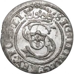 Sigismund III. Vasa, Shelly 1597, Riga - exquisit