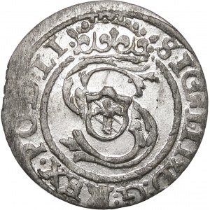 Zygmunt III Waza, Szeląg 1597, Ryga – wyśmienity