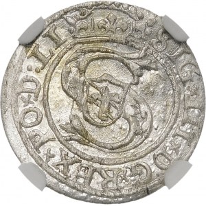 Sigismund III Vasa, Shelly 1599, Riga