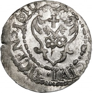 Zygmunt III Waza, Szeląg 1610, Ryga – ciekawostki – niespotykany