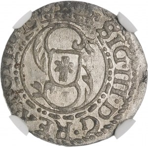 Zygmunt III Waza, Szeląg 1617, Ryga – data 17 – b. rzadki