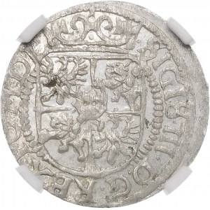 Sigismund III. Vasa, Pfennig 1617, Riga - schön und selten