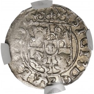 Sigismund III. Wasa, Halbspur 1617, Bromberg - Sachse ohne Schild