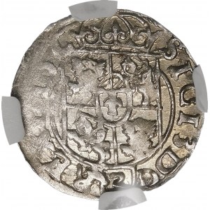 Sigismund III Vasa, Half-track 1617, Bydgoszcz - Saxon without shield