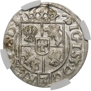 Sigismund III. Vasa, Halbspur 1618, Bydgoszcz - Sachsen im Zierschild, SIGIS