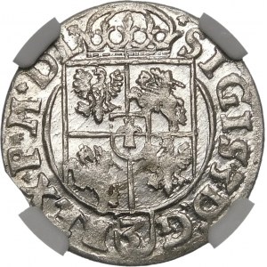 Sigismund III. Vasa, Półtorak 1619, Bydgoszcz - Sachse im ovalen Schild - schön