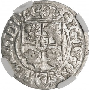 Sigismund III. Vasa, Półtorak 1619, Bydgoszcz - Sachse im ovalen Schild