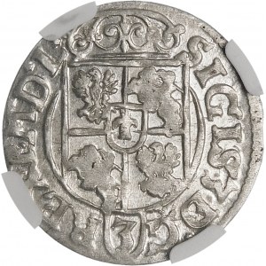 Sigismund III Vasa, Half-track 1619, Bydgoszcz - Saxon in oval shield