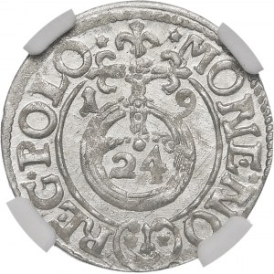 Sigismund III Vasa, Half-track 1619, Bydgoszcz - Saxon in oval shield - beautiful