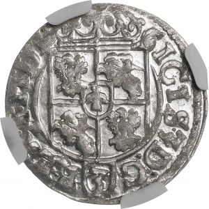 Sigismund III. Vasa, Półtorak 1619, Bydgoszcz - Sachse im ovalen Schild - schön