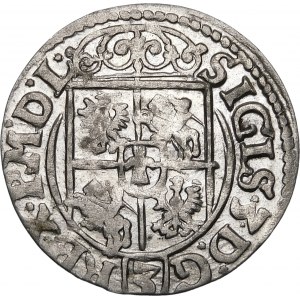 Sigismund III Vasa, Half-track 1619, Bydgoszcz - Saxon in oval shield