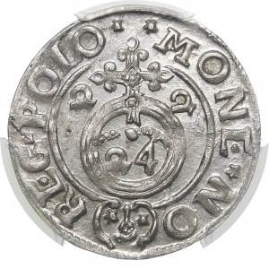 Sigismund III Vasa, Half-track 1622, Bydgoszcz - Saxon in oval shield - larger crown