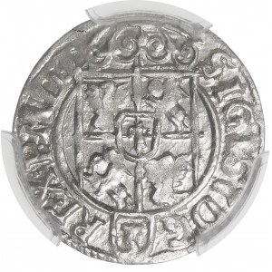 Sigismund III Vasa, Half-track 1622, Bydgoszcz - Saxon in oval shield - larger crown