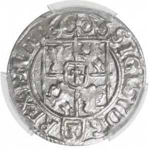 Sigismund III. Vasa, Półtorak 1622, Bydgoszcz - Sachsen im Ovalschild - größere Krone