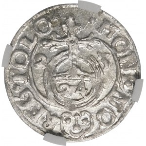 Sigismund III. Vasa, Półtorak 1623, Bydgoszcz - Sachse im ovalen Schild