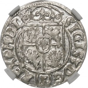 Sigismund III Vasa, Half-track 1623, Bydgoszcz - Saxon in oval shield