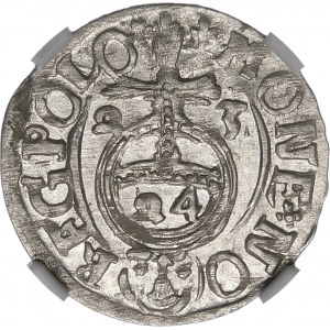 Sigismund III Vasa, Half-track 1623, Bydgoszcz - Saxon in oval shield - crosses