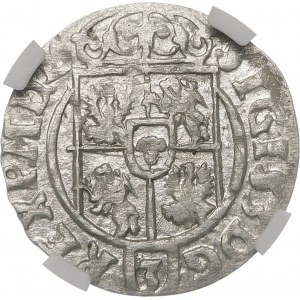 Sigismund III Vasa, Half-track 1623, Bydgoszcz - Saxon in oval shield - crosses