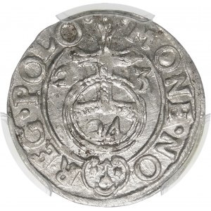 Zikmund III Vasa, Półtorak 1623, Bydgoszcz - Sas v oválném štítu - tečky