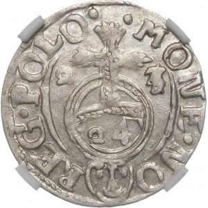 Sigismund III Vasa, Half-track 1623, Bydgoszcz - punch 2-3/4 - rare