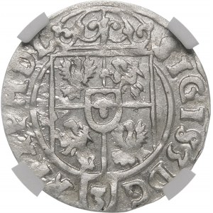 Sigismund III Vasa, Halbspur 1623, Bydgoszcz - Blatt 2-3/4 - selten