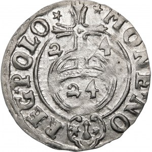 Sigismund III. Vasa, Półtorak 1624, Bydgoszcz - Sachse im ovalen Schild - schön