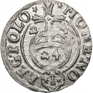 Sigismund III Vasa, Half-track 1624, Bydgoszcz - Saxon in oval shield - beautiful