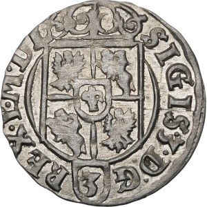 Sigismund III. Vasa, Półtorak 1624, Bydgoszcz - Sachse im ovalen Schild - schön