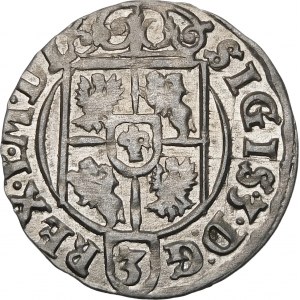 Sigismund III Vasa, Half-track 1624, Bydgoszcz - Saxon in oval shield - beautiful