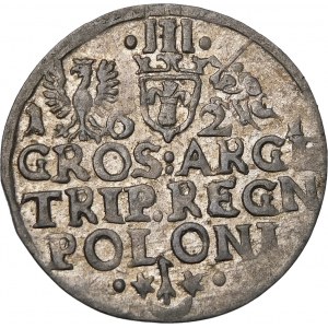 Zikmund III Vasa, Trojak 1621, Krakov