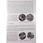 WCN, Auction Catalogue No. 50, Likening our coin to a lovely maiden
