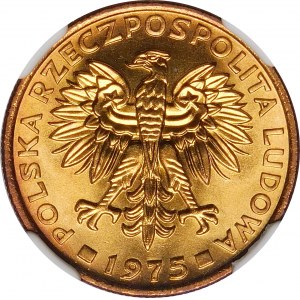 2 Gold 1975