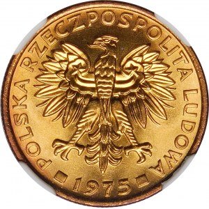 2 złote 1975