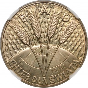 Próba 10 złotych FAO 1971