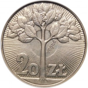 Próba 20 złotych Drzewo 1973