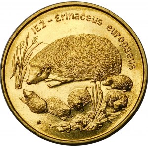 2 gold Hedgehog 1996