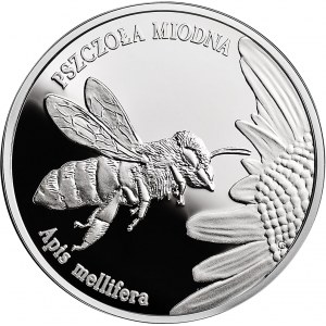 20 złotych 2015 - Zwierzęta Świata – pszczoła miodna