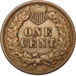 USA, 1 cent 1893, Indiánská hlava