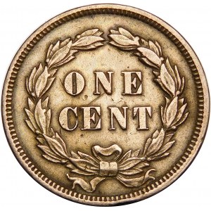 USA, 1 cent 1859, Indiánská hlava