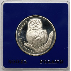 500 Gold Owl 1986