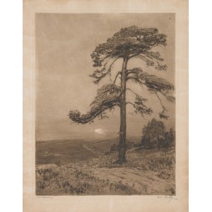 Kratky Richard (1877-1944), Lone Pine, 1939