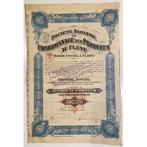 Belgium Flenu Flenu Coal Mining Company Share 1922