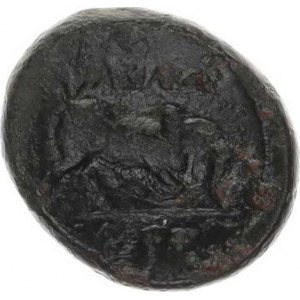 Seleukidské království, Seleukos I. (312-280 př. Kr.), AE 20, hlava Medúzy / býk zprava (5,755 g) S