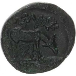 Starověké Řecko, AE 18, Hlava ?/ pasoucí se kráva, zprava (4,976 g)