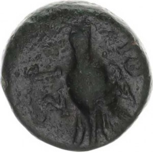 Sikyonia - Sikyon (251-146 př. Kr.), AE 15, holubice zleva se krmí / trojnožka ve věnci (4,329 g)