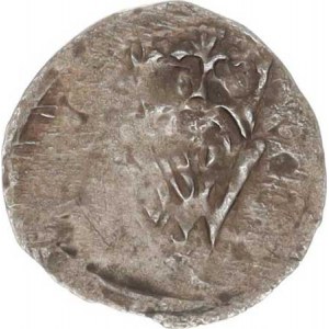 Vladislav II. Jagellonský (1471-1516), Bílý peníz dvoustranný, lev / korunované W Smol. 2 (0,461